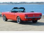 Thumbnail Photo 56 for New 1964 Ford Mustang